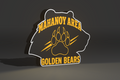 Custom 3D Printed Mahanoy Area Golden Bears Lightbox