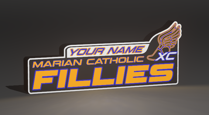 Custom 3D Printed Local Highschool Sports Lightboxes