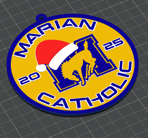 Custom 3D Printed School Christmas Ornaments